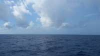 Great day of scuba diving in Key Largo with Rainbow Reef on spiegel grove tropical odyssey 2015 03 12 r1267 1