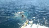 Great day of scuba diving in Key Largo with Rainbow Reef on spiegel grove tropical voyager 2015 03 19 r1294 1