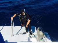 Great day of scuba diving in Key Largo with Rainbow Reef on uscgc bibb tropical adventure 2015 03 02 r1242 1