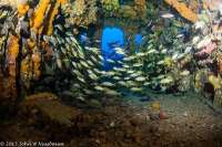 Great day of scuba diving in Key Largo with Rainbow Reef on uscgc duane tropical voyager 2015 03 29 r1336 2
