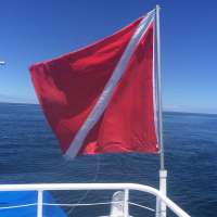 Great day of scuba diving in Key Largo with Rainbow Reef on conch wall tropical adventure 2015 05 06 r1471 1