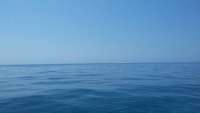 Great day of scuba diving in Key Largo with Rainbow Reef on conch wall tropical explorer 2015 05 22 r1530 1