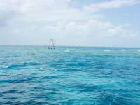 Great day of scuba diving in Key Largo with Rainbow Reef on eagle ray alley tropical adventure 2015 05 27 r1549 1