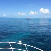 Great day of scuba diving in Key Largo with Rainbow Reef on elbow reef tropical adventure 2015 05 20 r1521 1