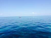Great day of scuba diving in Key Largo with Rainbow Reef on elbow reef tropical voyager 2015 05 22 r1528 1