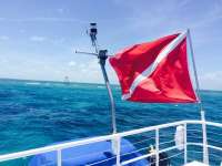 Great day of scuba diving in Key Largo with Rainbow Reef on molasses reef tropical adventure 2015 05 25 r1544 1