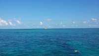 Great day of scuba diving in Key Largo with Rainbow Reef on molasses reef tropical odyssey 2015 05 21 r1523 1
