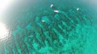Great day of scuba diving in Key Largo with Rainbow Reef on molasses reef tropical voyager 2015 05 09 r1481 1
