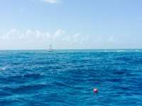 Great day of scuba diving in Key Largo with Rainbow Reef on molasses reef tropical voyager 2015 05 11 r1490 2