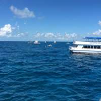 Great day of scuba diving in Key Largo with Rainbow Reef on molasses reef tropical voyager 2015 05 23 r1533 1