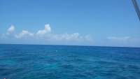 Great day of scuba diving in Key Largo with Rainbow Reef on north star tropical odyssey 2015 05 13 r1494 1