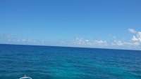 Great day of scuba diving in Key Largo with Rainbow Reef on pickles reef tropical odyssey 2015 05 31 r1570 1