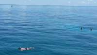 Great day of scuba diving in Key Largo with Rainbow Reef on pickles reef tropical voyager 2015 05 08 r1477 1