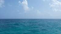 Great day of scuba diving in Key Largo with Rainbow Reef on sand island tropical odyssey 2015 05 10 r1486 1