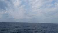 Great day of scuba diving in Key Largo with Rainbow Reef on spiegel grove tropical adventure 2015 05 02 r1461 1