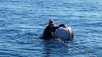 Great day of scuba diving in Key Largo with Rainbow Reef on spiegel grove tropical adventure 2015 05 07 r1472 1