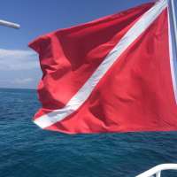 Great day of scuba diving in Key Largo with Rainbow Reef on spiegel grove tropical adventure 2015 05 12 r1491 1
