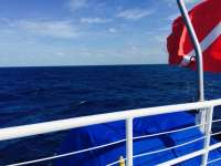 Great day of scuba diving in Key Largo with Rainbow Reef on spiegel grove tropical adventure 2015 05 28 r1551 1