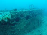 Great day of scuba diving in Key Largo with Rainbow Reef on spiegel grove tropical adventure 2015 05 30 r1562 1