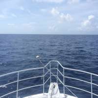 Great day of scuba diving in Key Largo with Rainbow Reef on spiegel grove tropical odyssey 2015 05 14 r1500 1