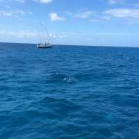Great day of scuba diving in Key Largo with Rainbow Reef on spiegel grove tropical voyager 2015 05 17 r1510 1