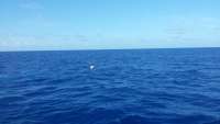 Great day of scuba diving in Key Largo with Rainbow Reef on uscgc duane tropical adventure 2015 05 16 r1502 1