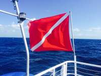 Great day of scuba diving in Key Largo with Rainbow Reef on uscgc duane tropical adventure 2015 05 27 r1547 1