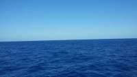 Great day of scuba diving in Key Largo with Rainbow Reef on uscgc duane tropical odyssey 2015 05 29 r1554 1