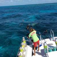 Great day of scuba diving in Key Largo with Rainbow Reef on uscgc duane tropical voyager 2015 05 24 r1541 1