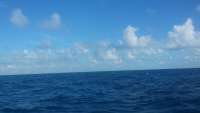 Great day of scuba diving in Key Largo with Rainbow Reef on christ statue tropical adventure 2015 11 07 r2247 1