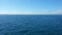Great day of scuba diving in Key Largo with Rainbow Reef on eagle ray alley tropical odyssey 2015 11 11 r2271 1