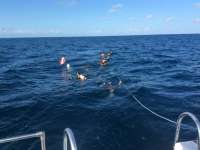 Great day of scuba diving in Key Largo with Rainbow Reef on french reef tropical explorer 2015 11 12 r2281 1
