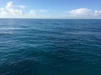 Great day of scuba diving in Key Largo with Rainbow Reef on french reef tropical odyssey 2015 11 09 r2261 1