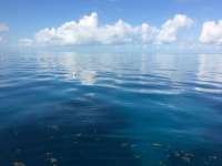 Great day of scuba diving in Key Largo with Rainbow Reef on french reef tropical odyssey 2015 11 10 r2263 1