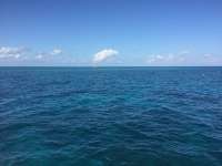 Great day of scuba diving in Key Largo with Rainbow Reef on molasses deep tropical adventure 2015 11 12 r2280 1