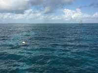 Great day of scuba diving in Key Largo with Rainbow Reef on molasses reef tropical adventure 2015 11 12 r2275 1