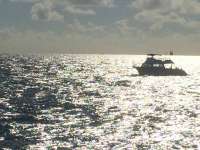 Great day of scuba diving in Key Largo with Rainbow Reef on permit ledges tropical odyssey 2015 11 30 r2322 1