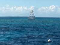 Great day of scuba diving in Key Largo with Rainbow Reef on permit ledges tropical odyssey 2015 11 30 r2322 3