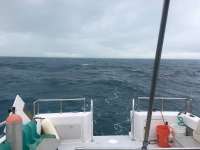 Great day of scuba diving in Key Largo with Rainbow Reef on snapper ledge tropical explorer 2015 11 21 r2300 1