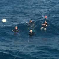 Great day of scuba diving in Key Largo with Rainbow Reef on snapper ledge tropical odyssey 2015 11 22 r2307 1