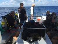 Great day of scuba diving in Key Largo with Rainbow Reef on spiegel grove tropical explorer 2015 11 01 r2221 1