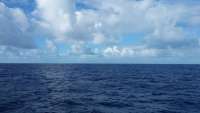 Great day of scuba diving in Key Largo with Rainbow Reef on uscgc duane tropical adventure 2015 11 30 r2320 1