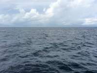 Great day of scuba diving in Key Largo with Rainbow Reef on christ statue tropical adventure 2015 10 15 r2158 1