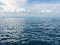 Great day of scuba diving in Key Largo with Rainbow Reef on eagle ray alley tropical voyager 2015 10 09 r2123 1