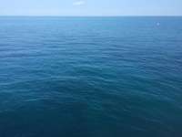 Great day of scuba diving in Key Largo with Rainbow Reef on french reef tropical odyssey 2015 10 13 r2148 1