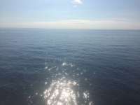 Great day of scuba diving in Key Largo with Rainbow Reef on french reef tropical odyssey 2015 10 13 r2148 2
