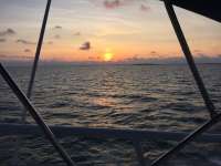 Great day of scuba diving in Key Largo with Rainbow Reef on molasses reef tropical adventure 2015 10 31 r2220 1