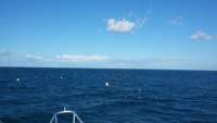 Great day of scuba diving in Key Largo with Rainbow Reef on molasses reef tropical odyssey 2015 10 14 r2153 1