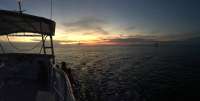 Great day of scuba diving in Key Largo with Rainbow Reef on molasses reef tropical odyssey 2015 10 29 r2205 2