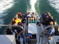 Great day of scuba diving in Key Largo with Rainbow Reef on molasses reef tropical voyager 2015 10 31 r2215 1